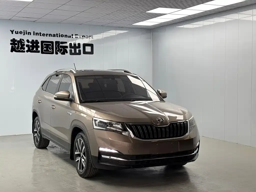 Skoda Kamiq — фото 10