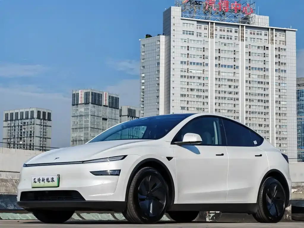 Tesla Model Y — фото 1