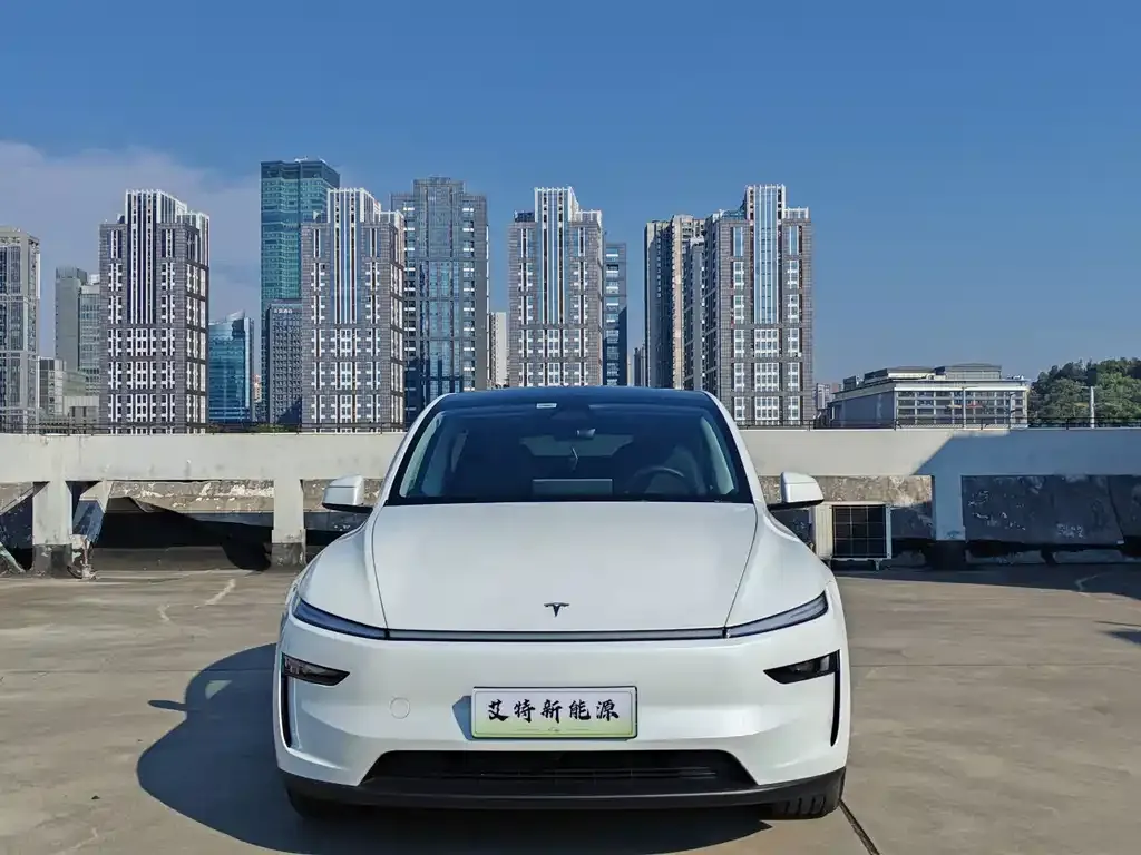 Tesla Model Y — фото 8
