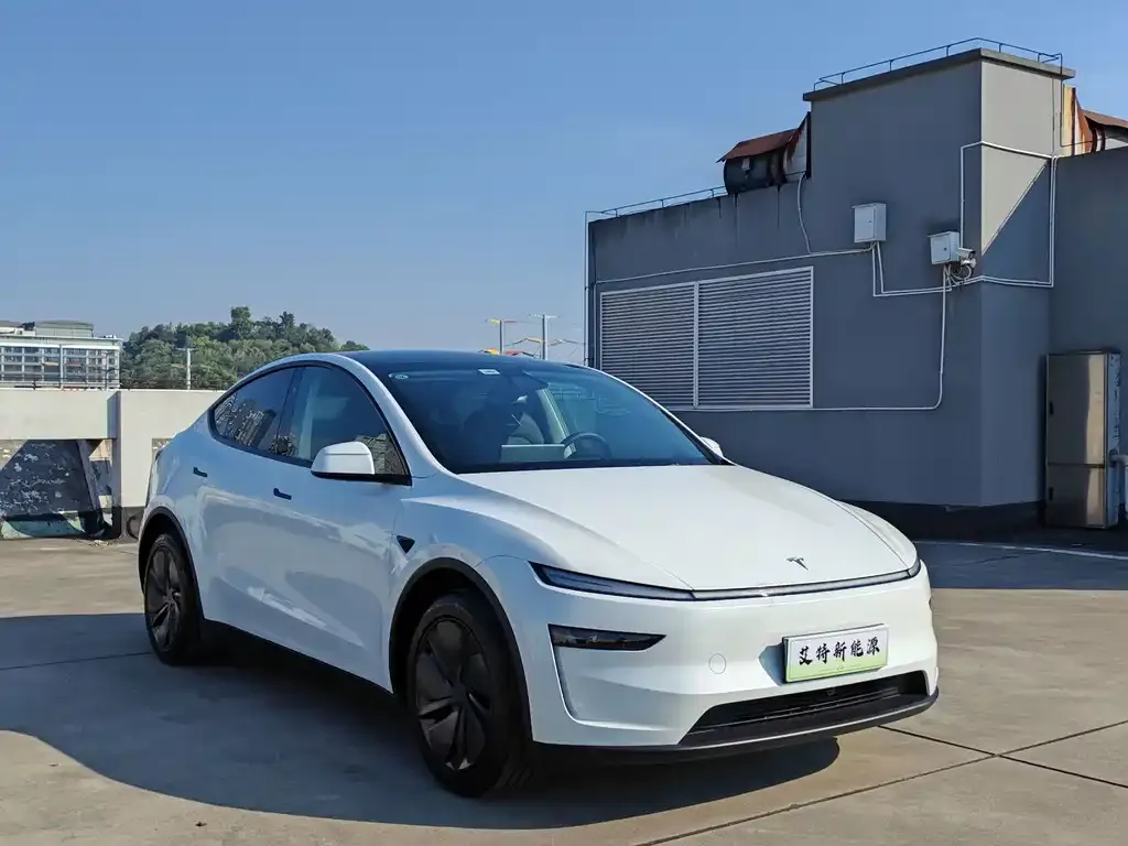 Tesla Model Y — фото 3