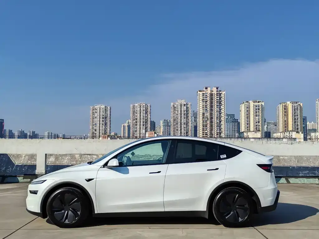 Tesla Model Y — фото 10