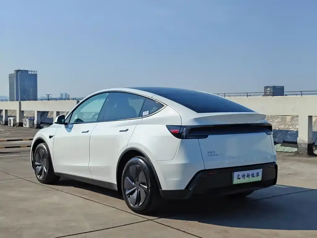 Tesla Model Y — фото 2