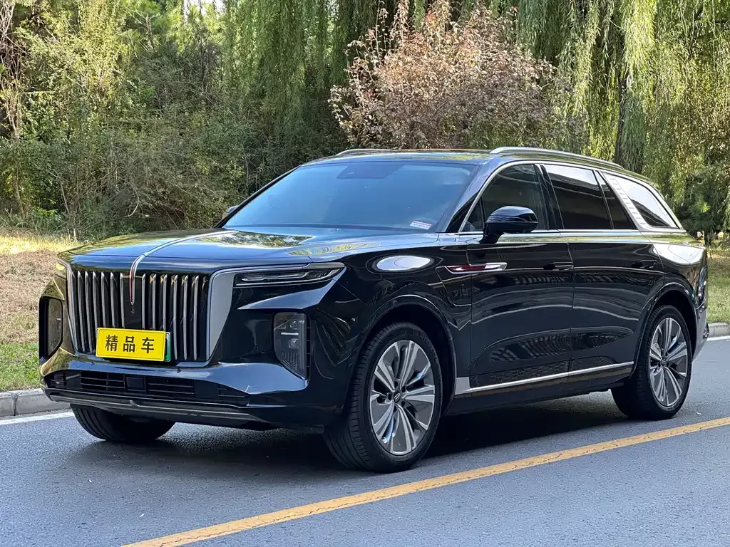 Hongqi E-HS9 — фото 1