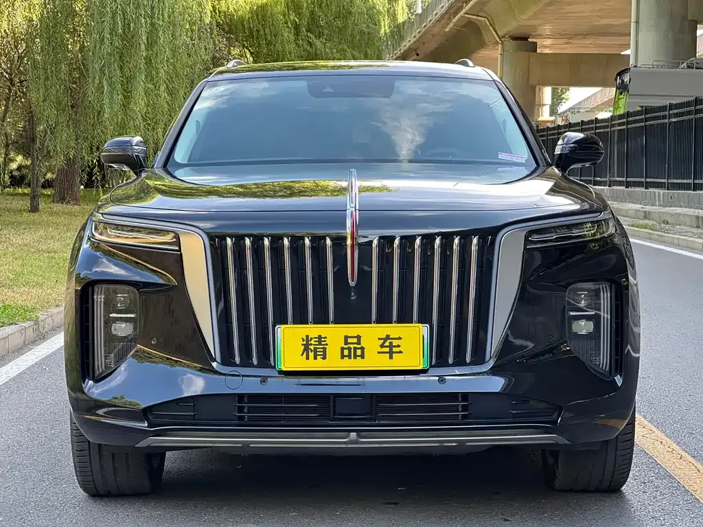 Hongqi E-HS9 — фото 5
