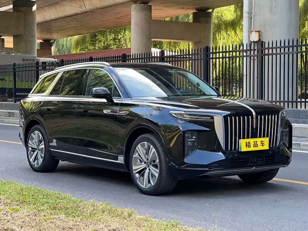 Hongqi E-HS9 — фото 9