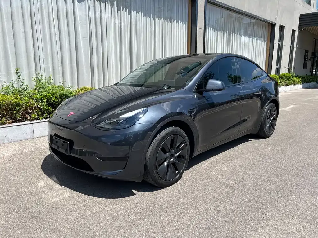 Tesla Model Y — фото 1