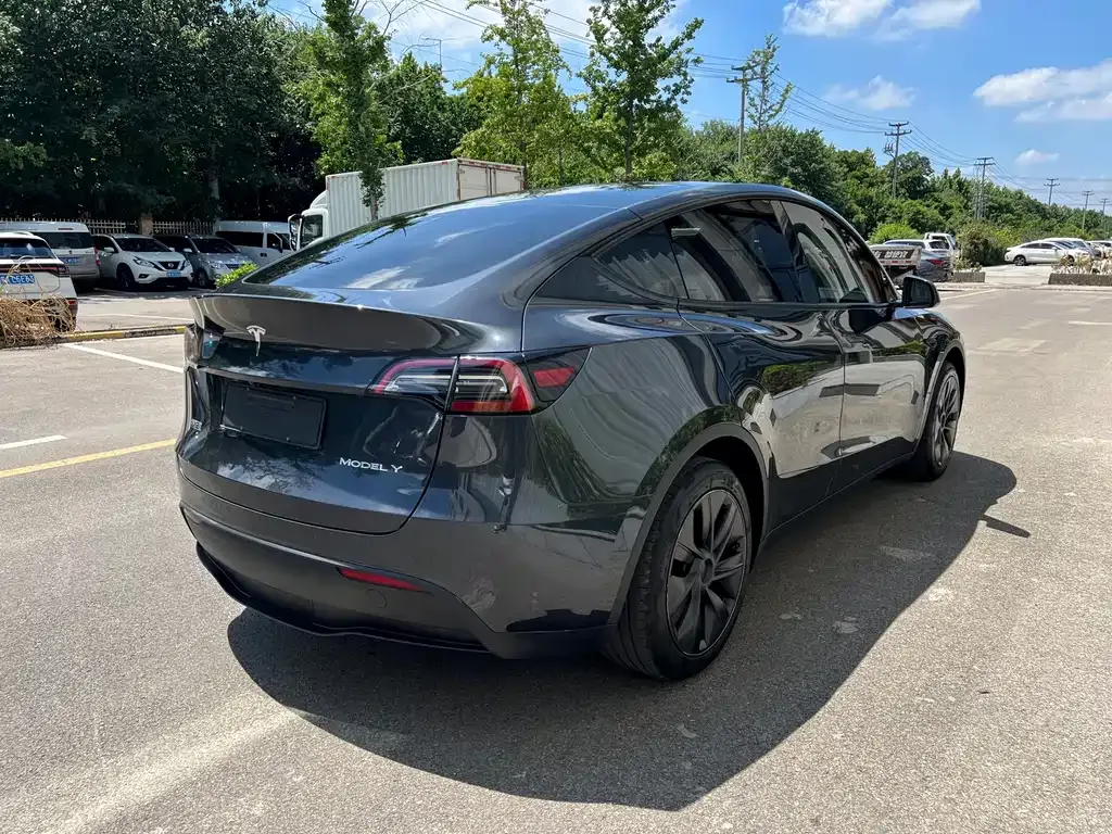 Tesla Model Y — фото 6