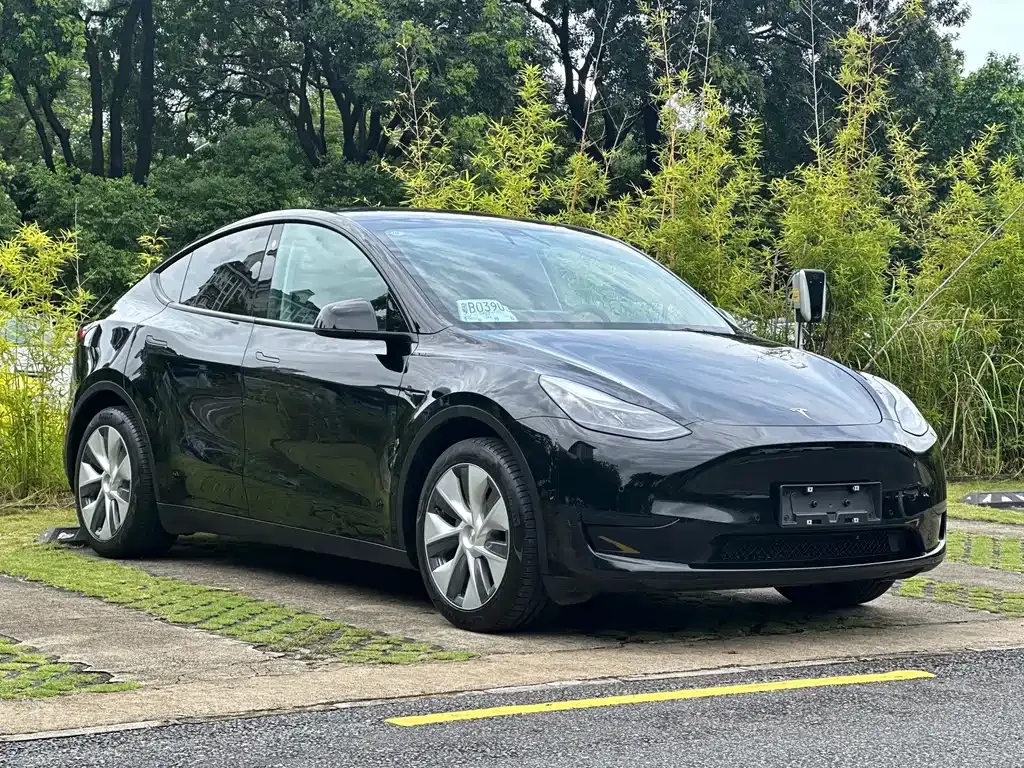 Tesla Model Y — фото 10