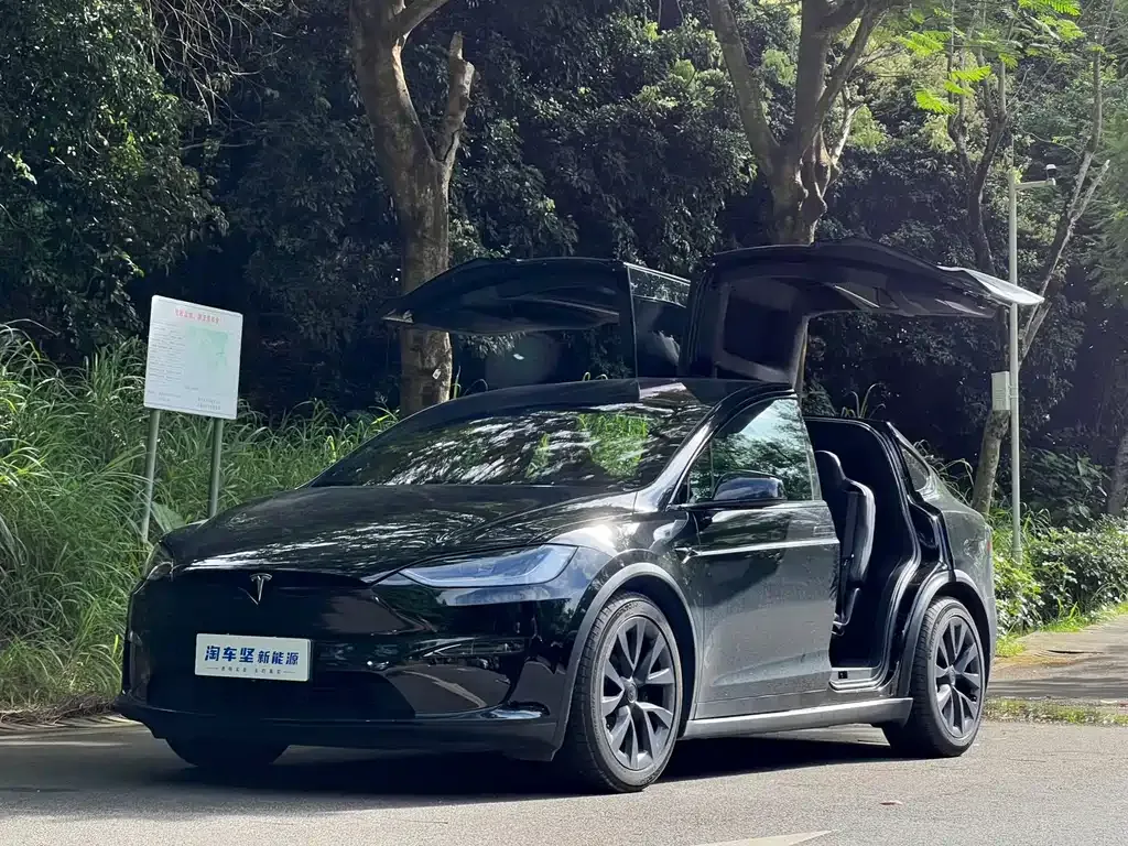 Tesla Model X — фото 1