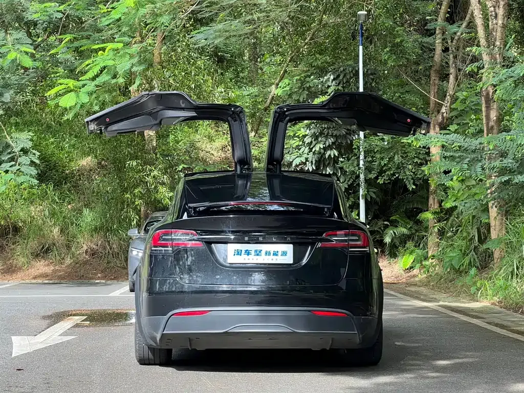 Tesla Model X — фото 9