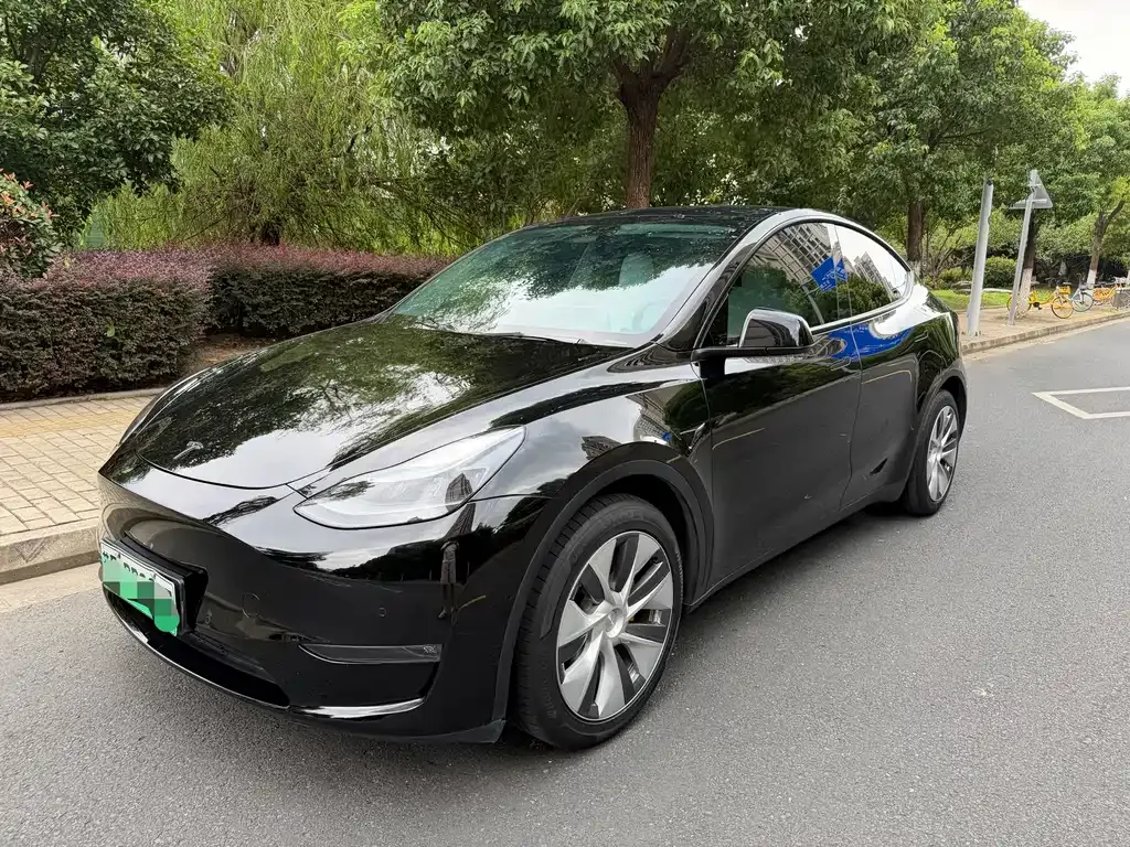 Tesla Model Y — фото 1