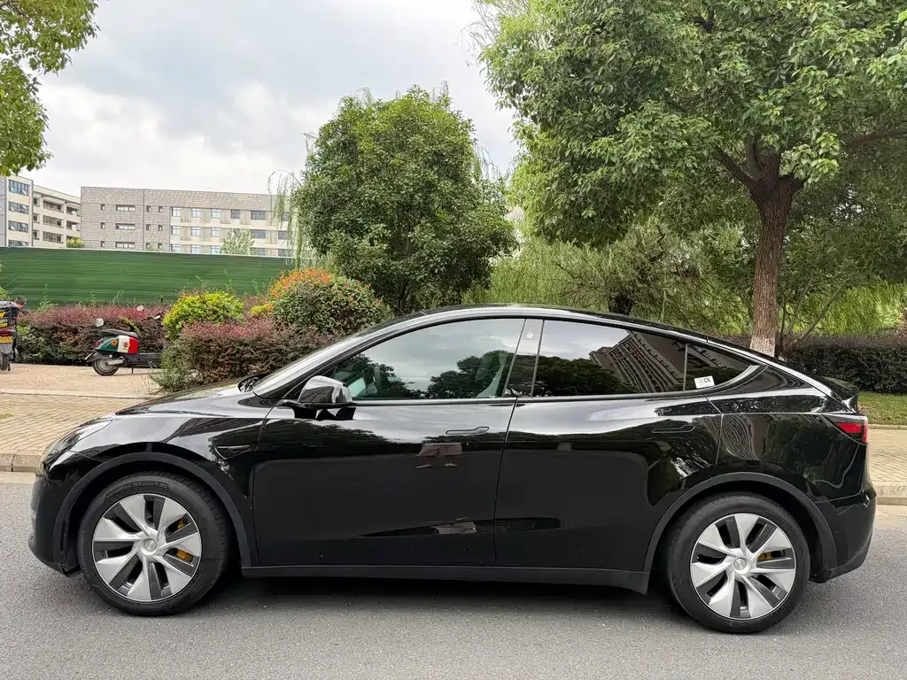 Tesla Model Y — фото 6