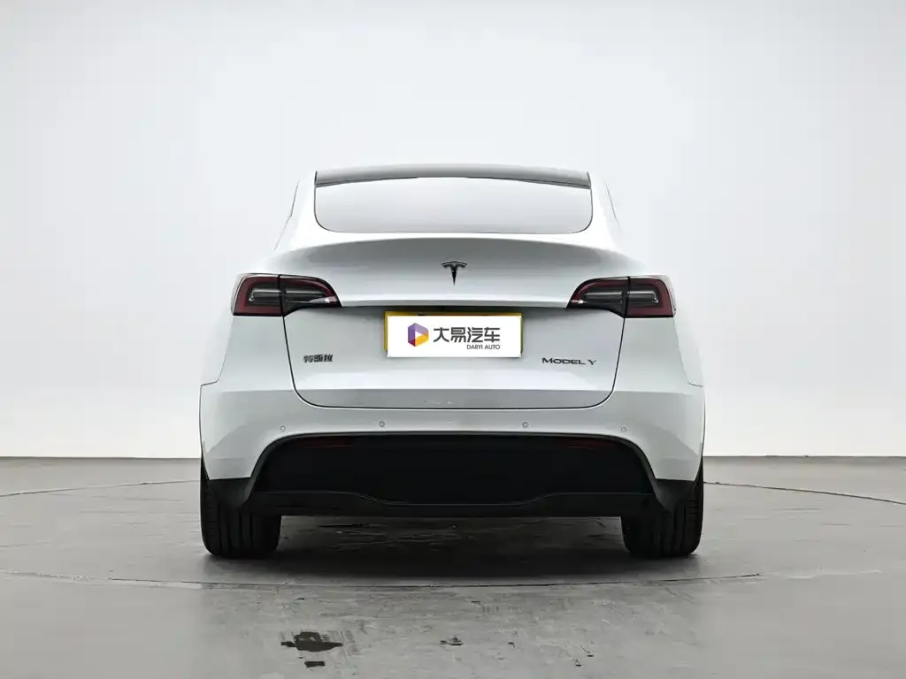 Tesla Model Y — фото 2