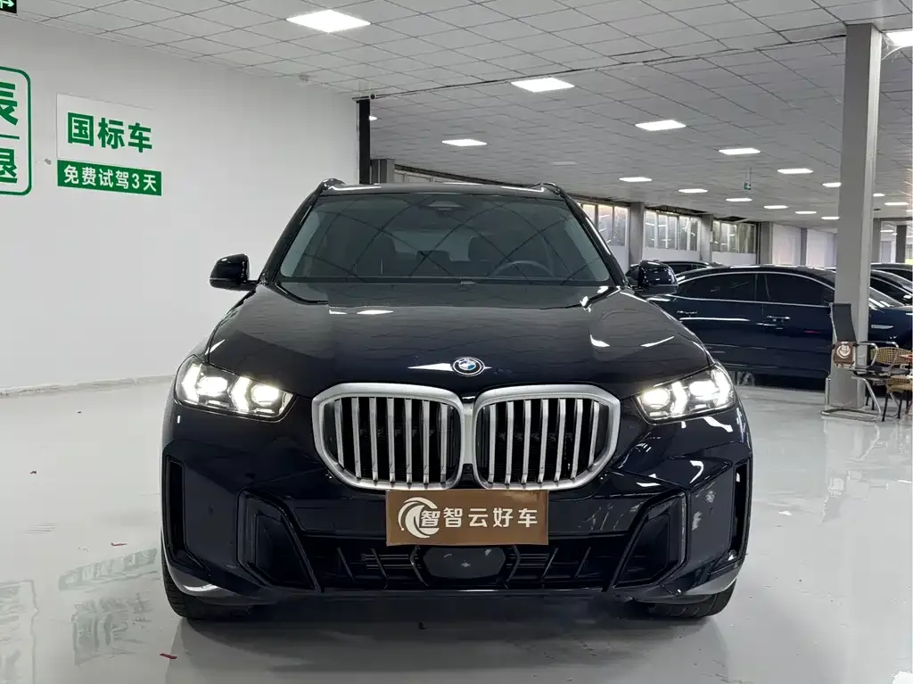 BMW X5 — фото 9