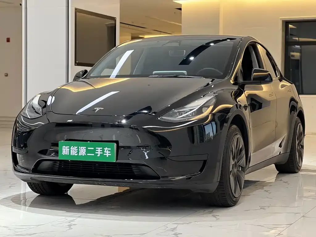 Tesla Model Y — фото 1