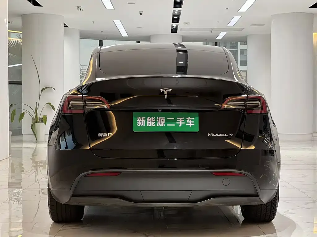Tesla Model Y — фото 6