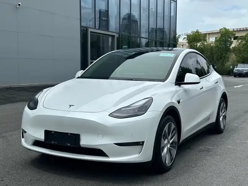 Tesla Model Y — фото 1