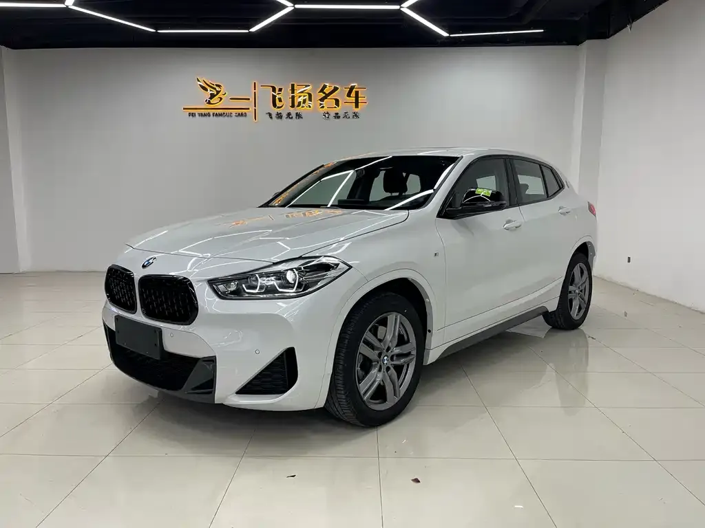 BMW X2 — фото 1