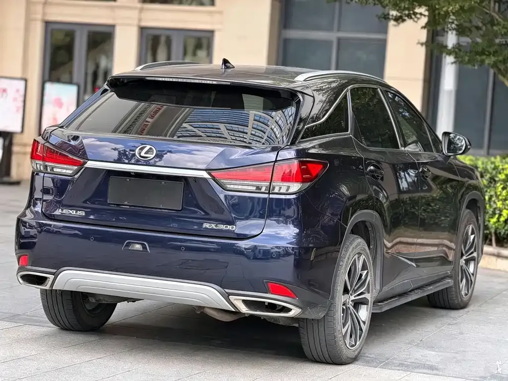 Lexus RX — фото 8
