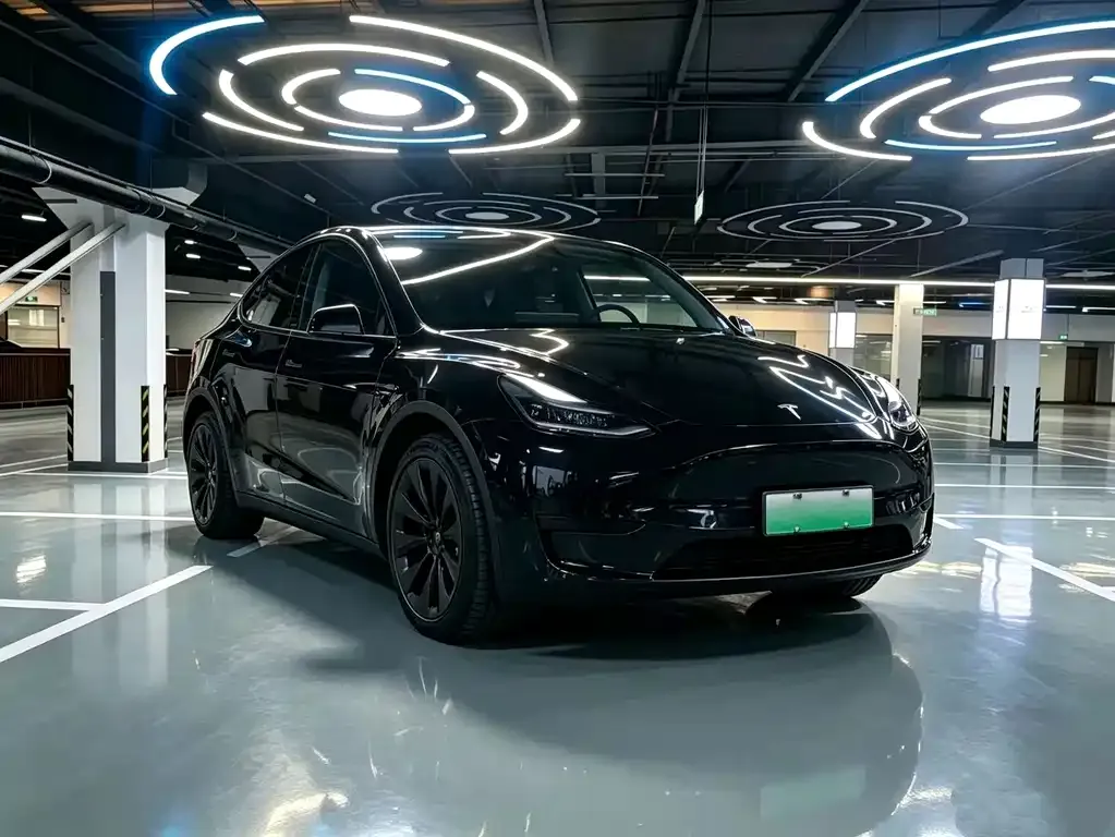 Tesla Model Y — фото 10