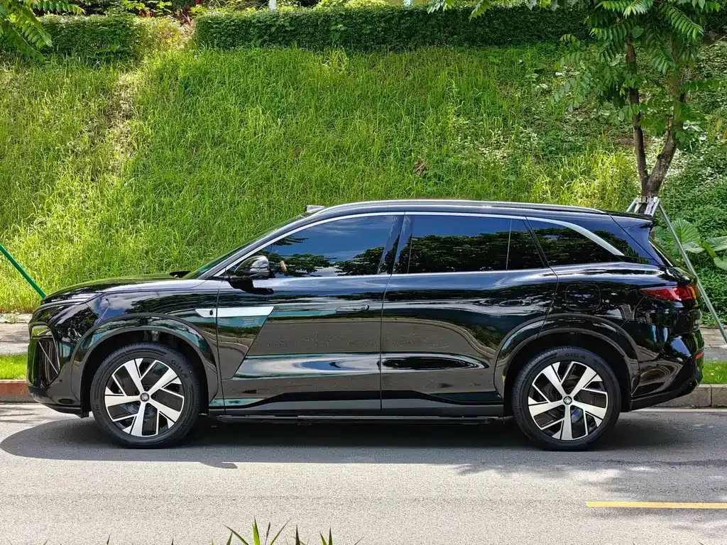 BYD Tang L — фото 4
