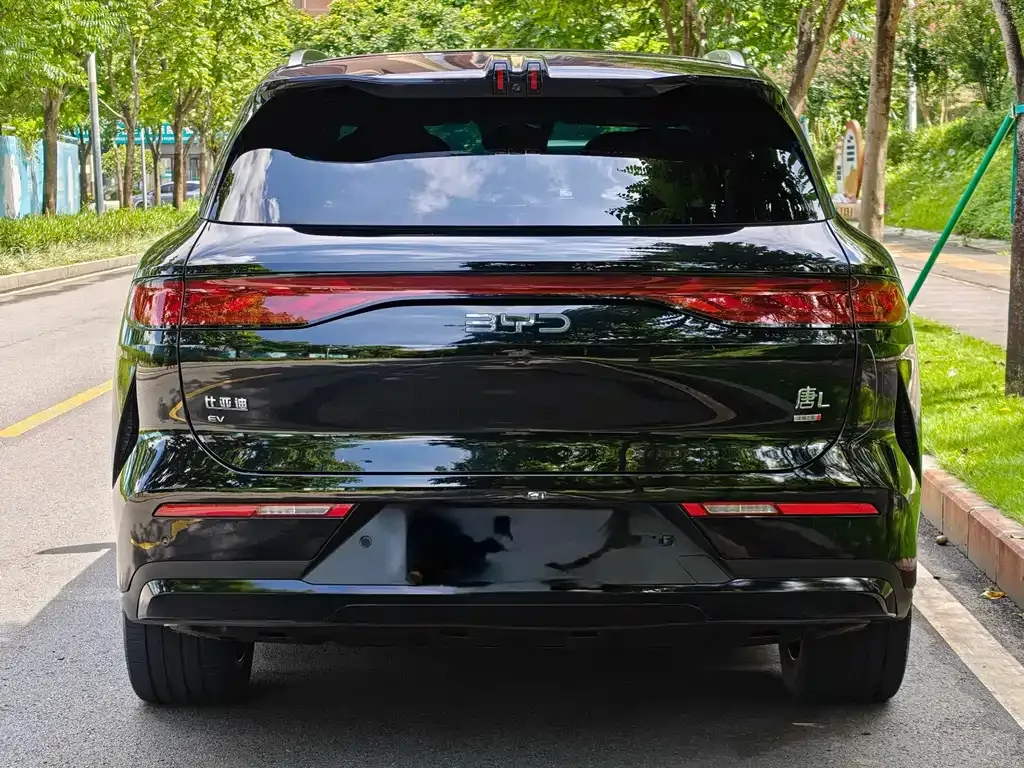 BYD Tang L — фото 6