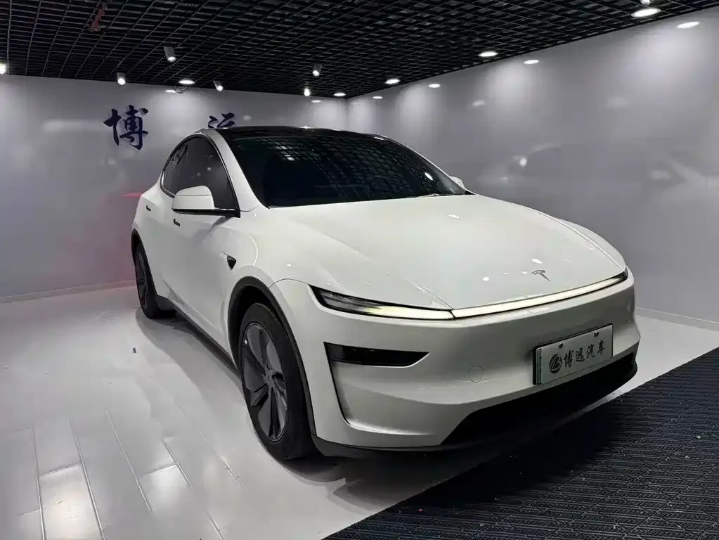Tesla Model Y — фото 7