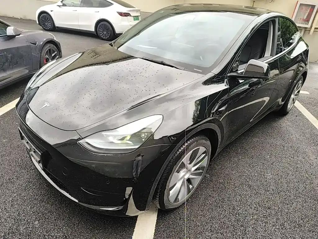 Tesla Model Y — фото 10