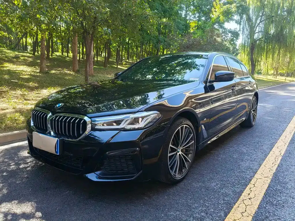 BMW 5 Series — фото 1