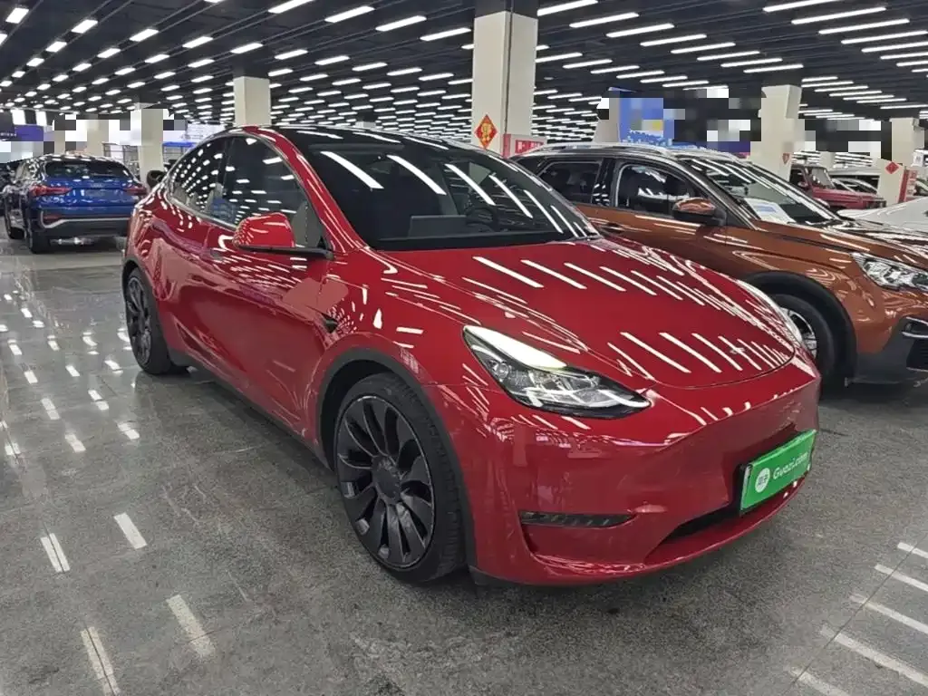 Tesla Model Y — фото 8