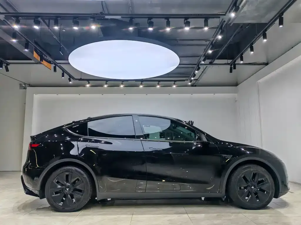 Tesla Model Y — фото 10