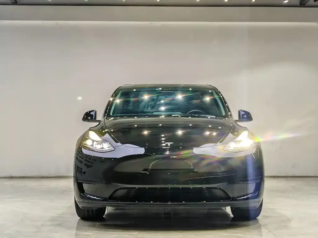 Tesla Model Y — фото 5