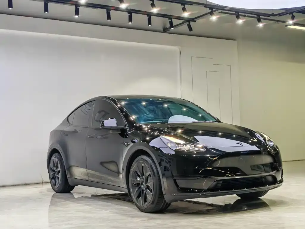 Tesla Model Y — фото 7