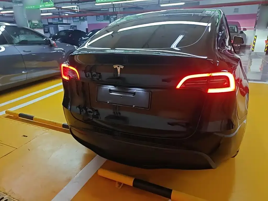 Tesla Model Y — фото 6