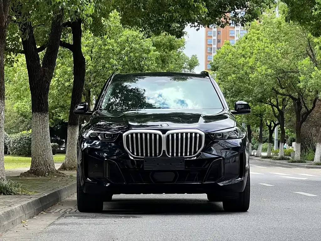 BMW X5 — фото 9
