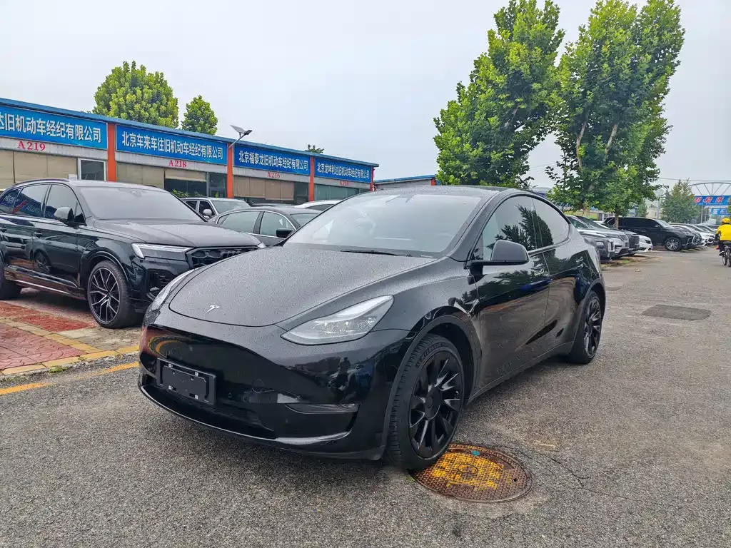 Tesla Model Y — фото 1