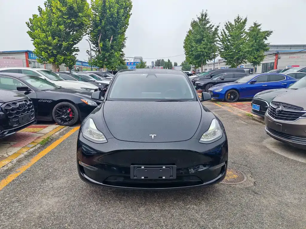 Tesla Model Y — фото 8