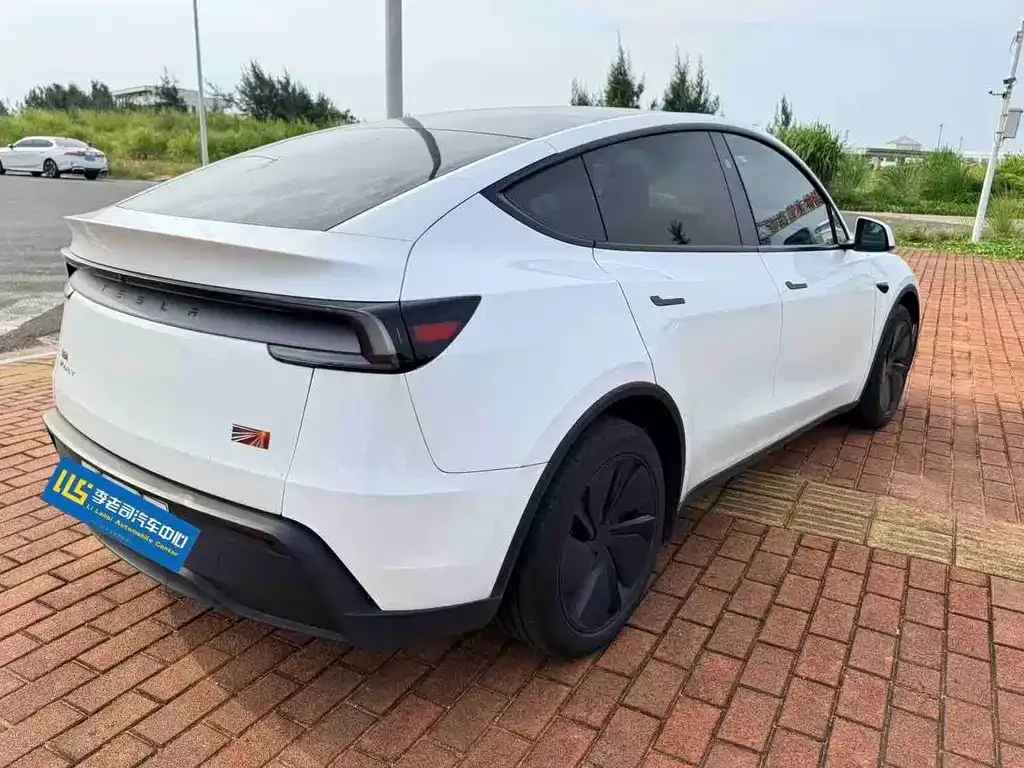Tesla Model Y — фото 5