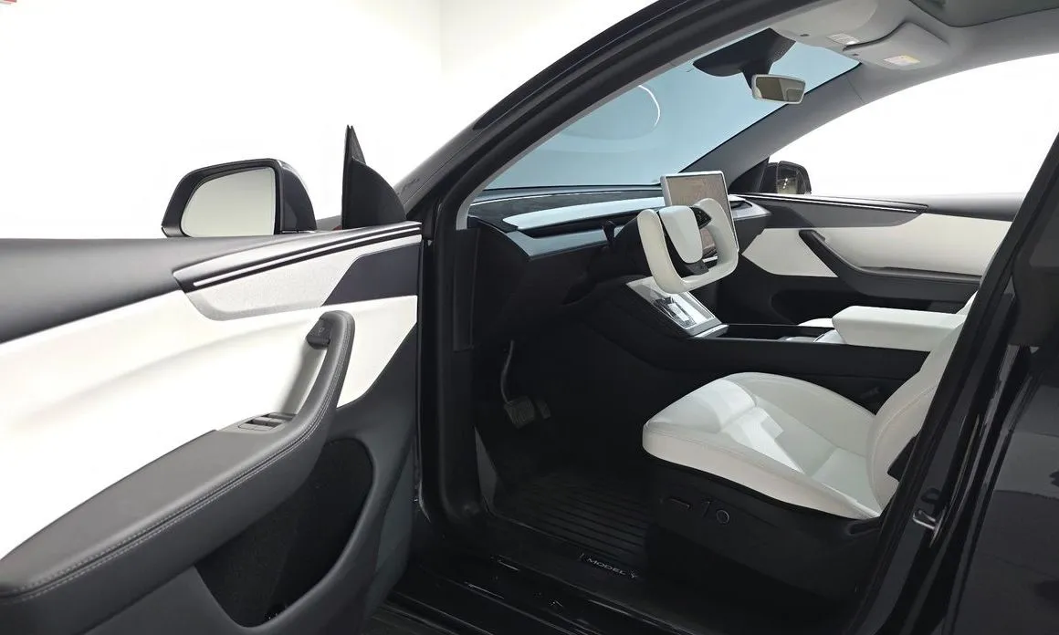 Tesla Model Y — фото 8