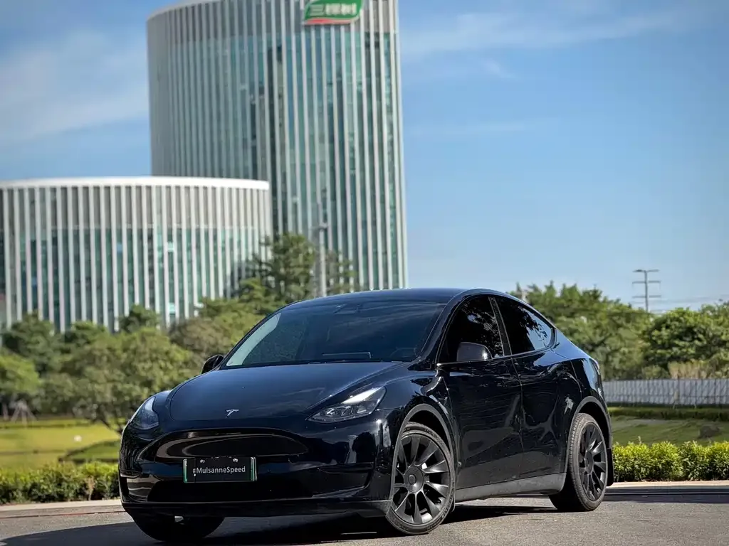 Tesla Model Y — фото 1