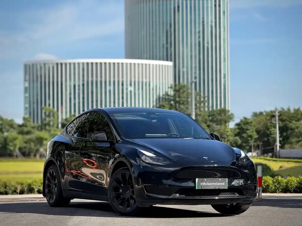 Tesla Model Y — фото 4