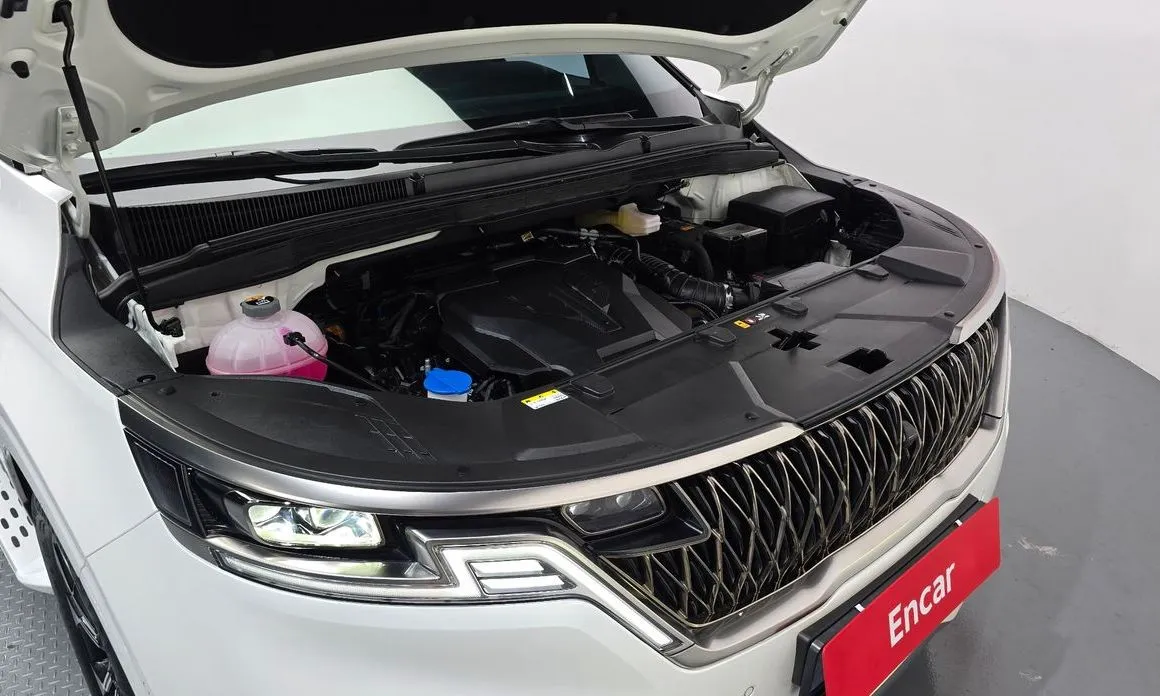 Kia Carnival — фото 10