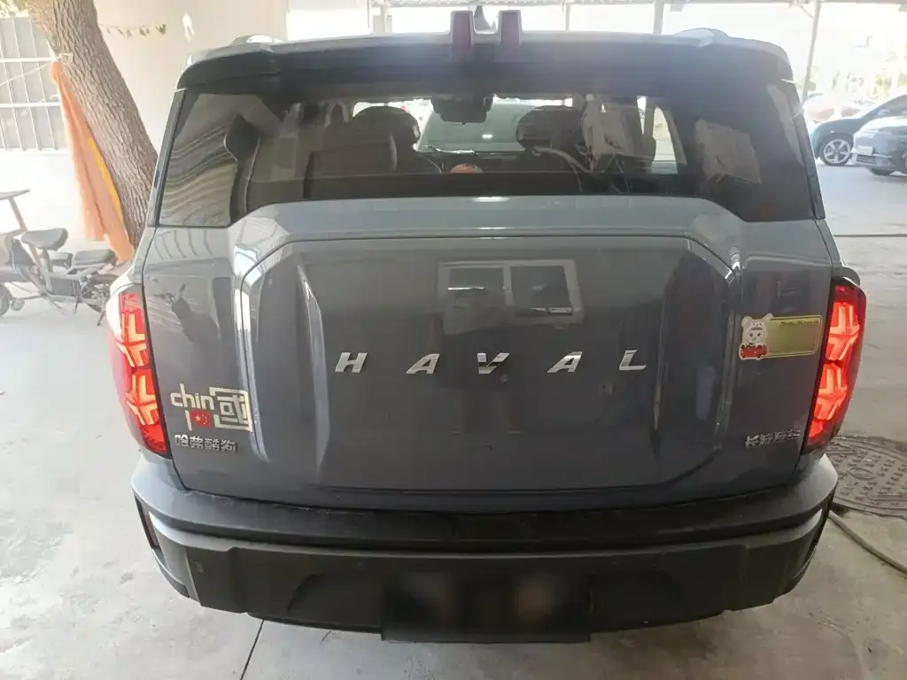 Haval Cool Dog — фото 8
