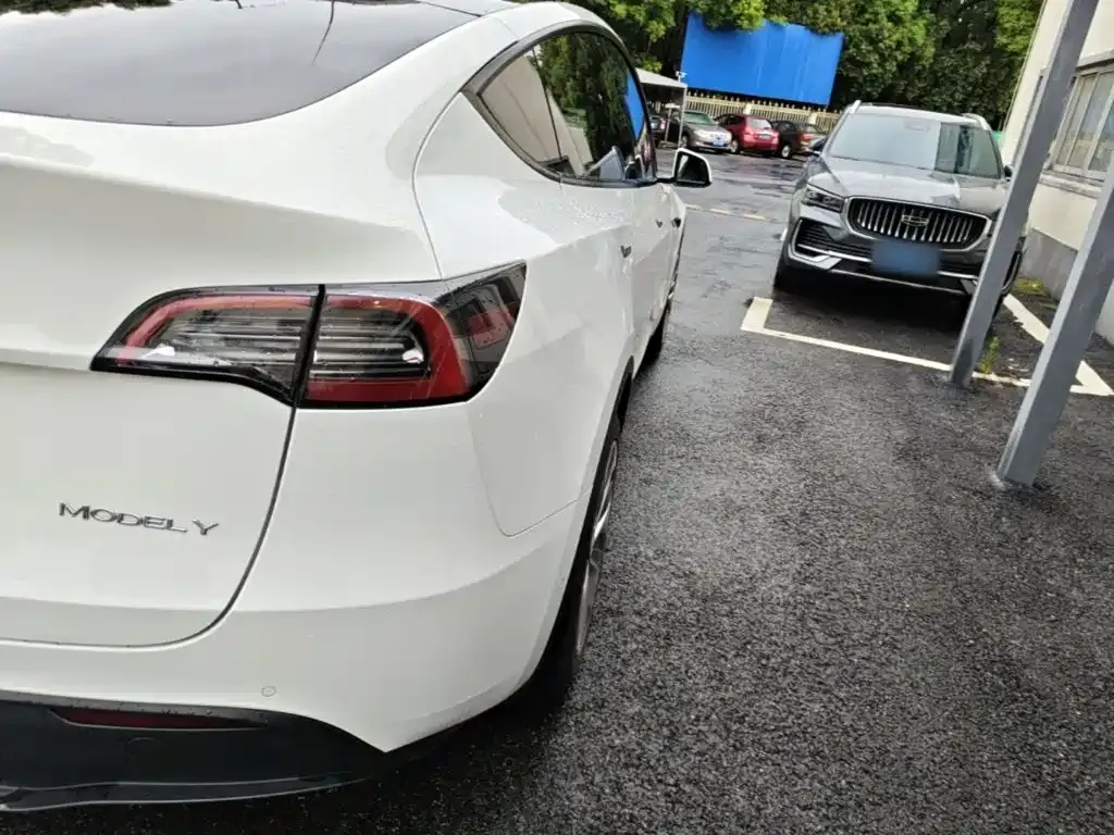 Tesla Model Y — фото 10
