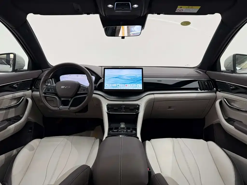BYD PLUS New Energy — фото 2