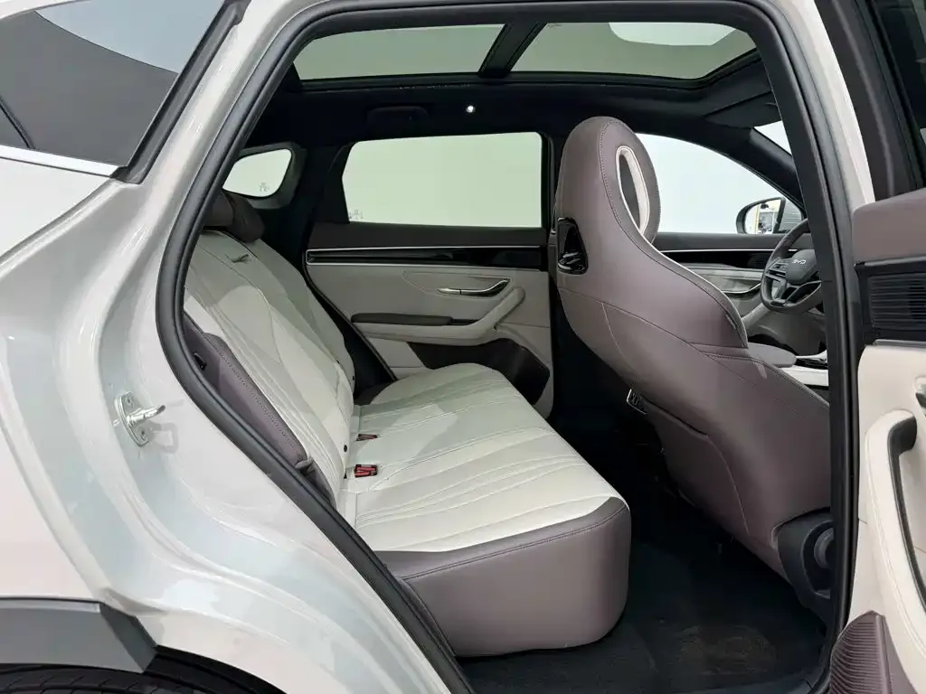 BYD PLUS New Energy — фото 10