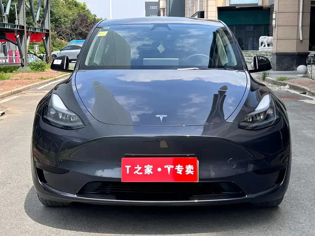 Tesla Model Y — фото 10