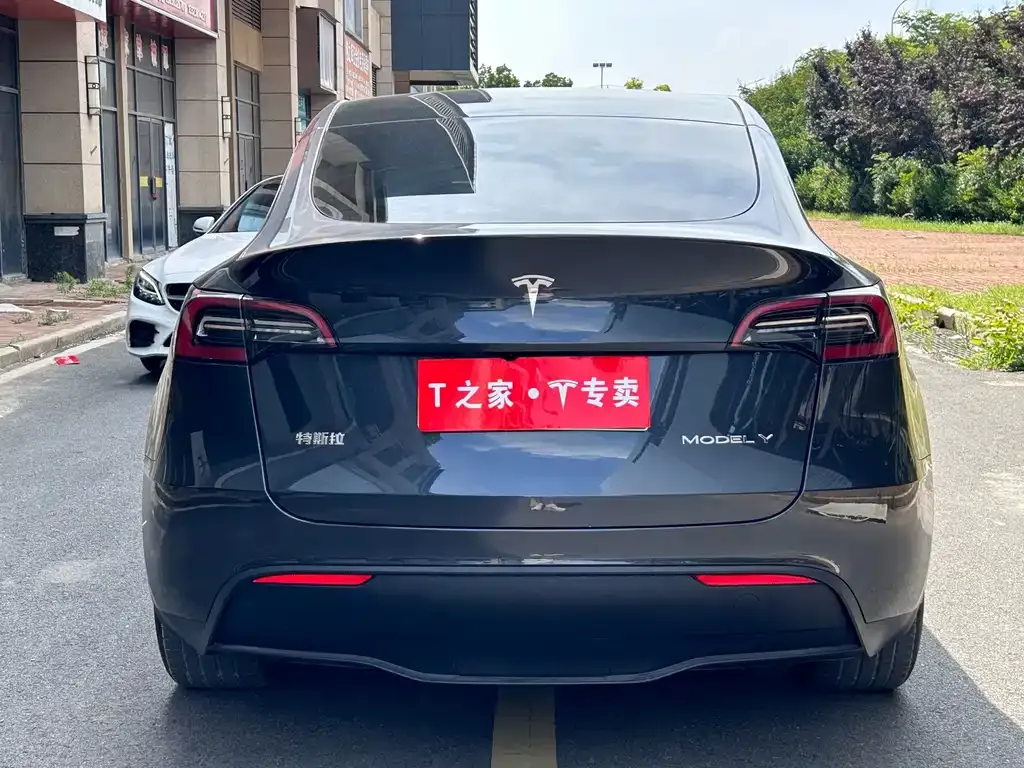 Tesla Model Y — фото 6