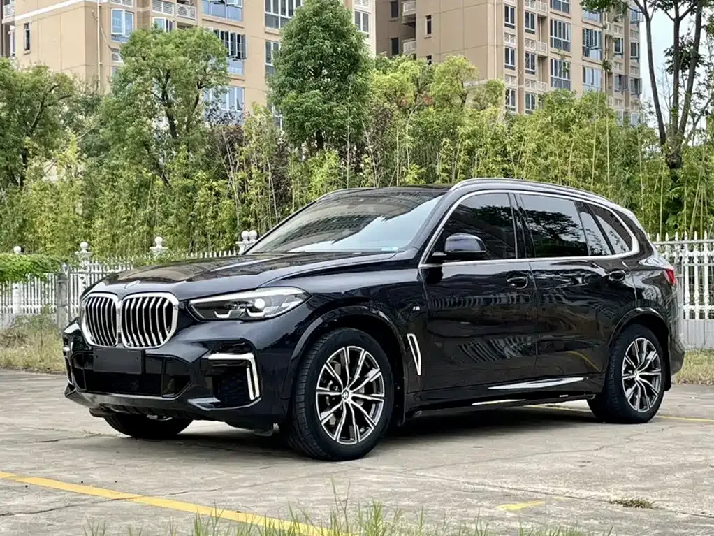 BMW X5 xDrive 30Li M Sport 1