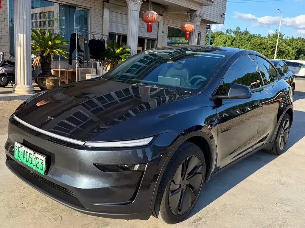 Tesla Model Y — фото 9